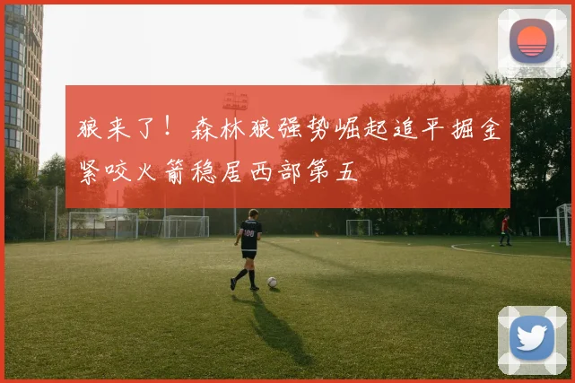 狼来了！森林狼强势崛起追平掘金紧咬火箭稳居西部第五